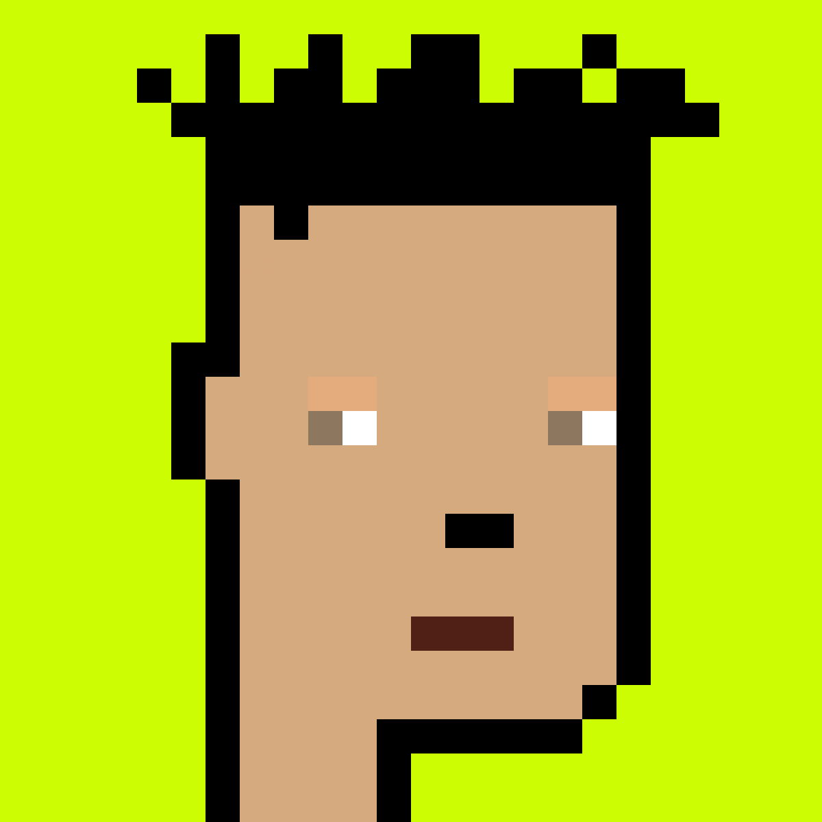 Stonk Punks #484