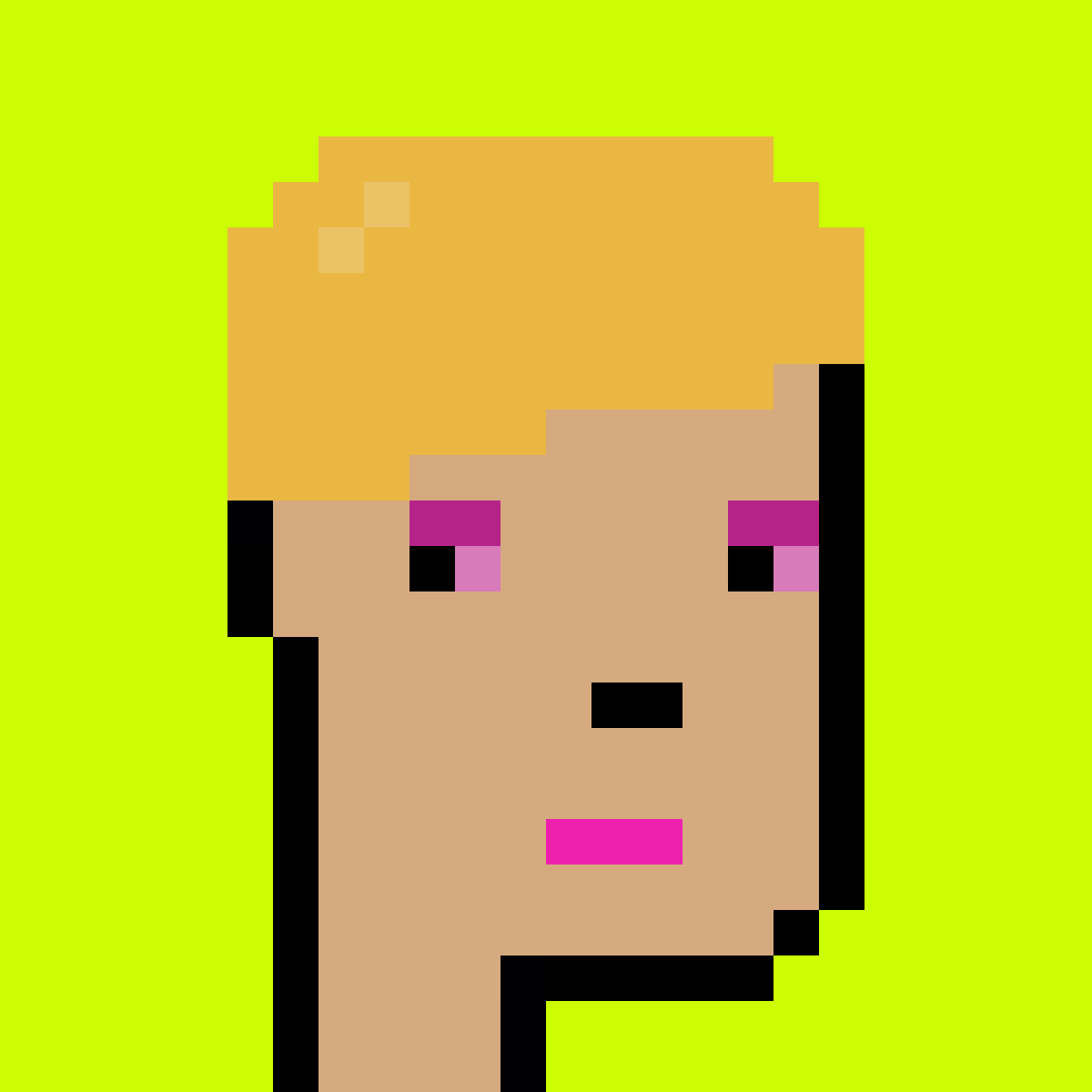 Stonk Punks #527