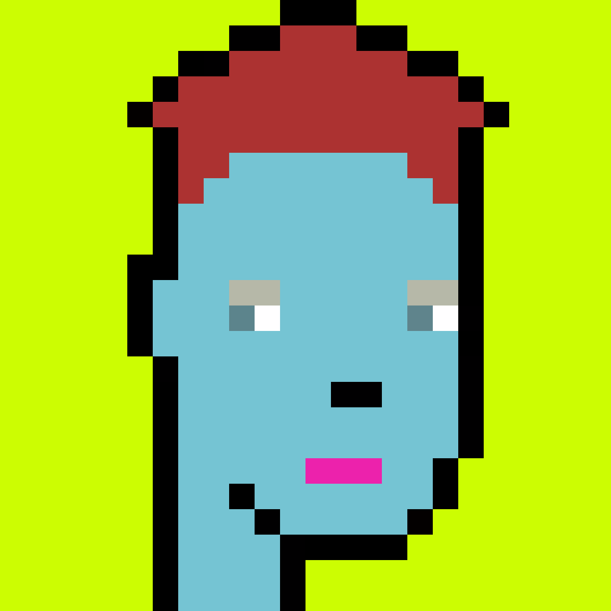 Stonk Punks #533