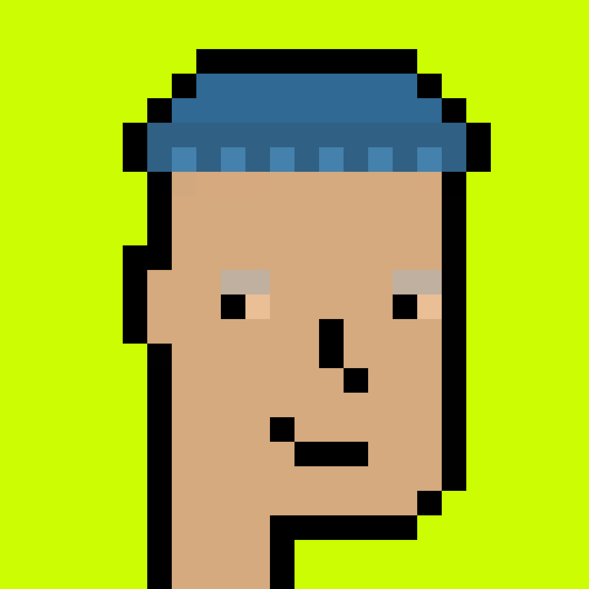 Stonk Punks #534