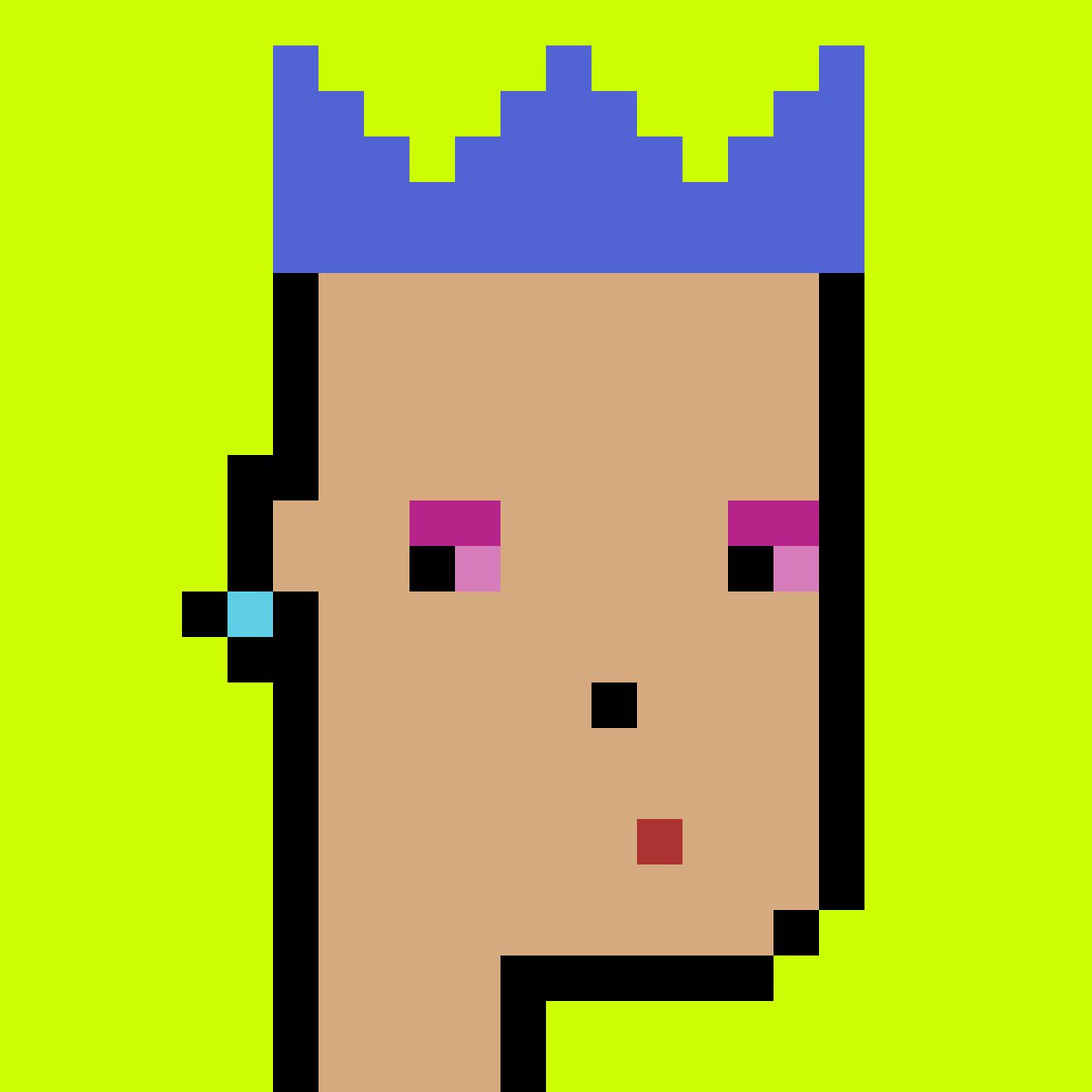 Stonk Punks #691