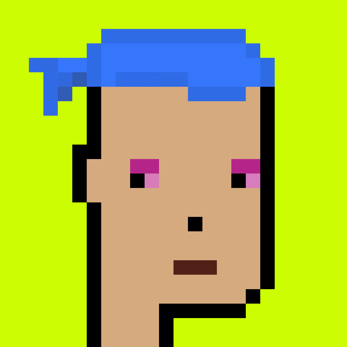 Stonk Punks #742