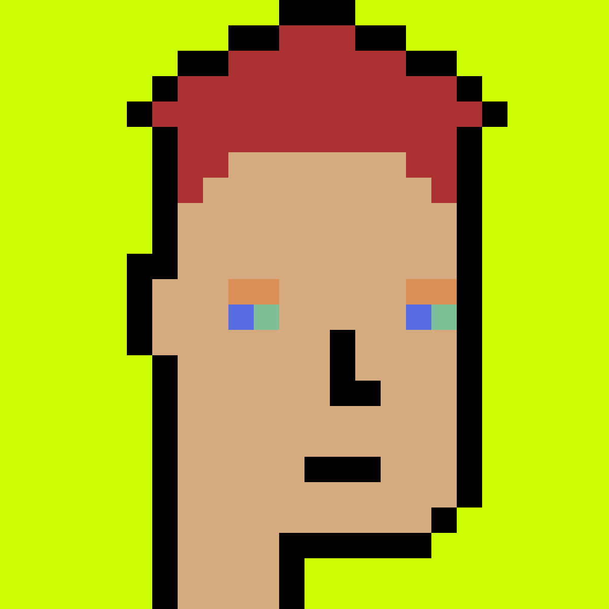 Stonk Punks #743