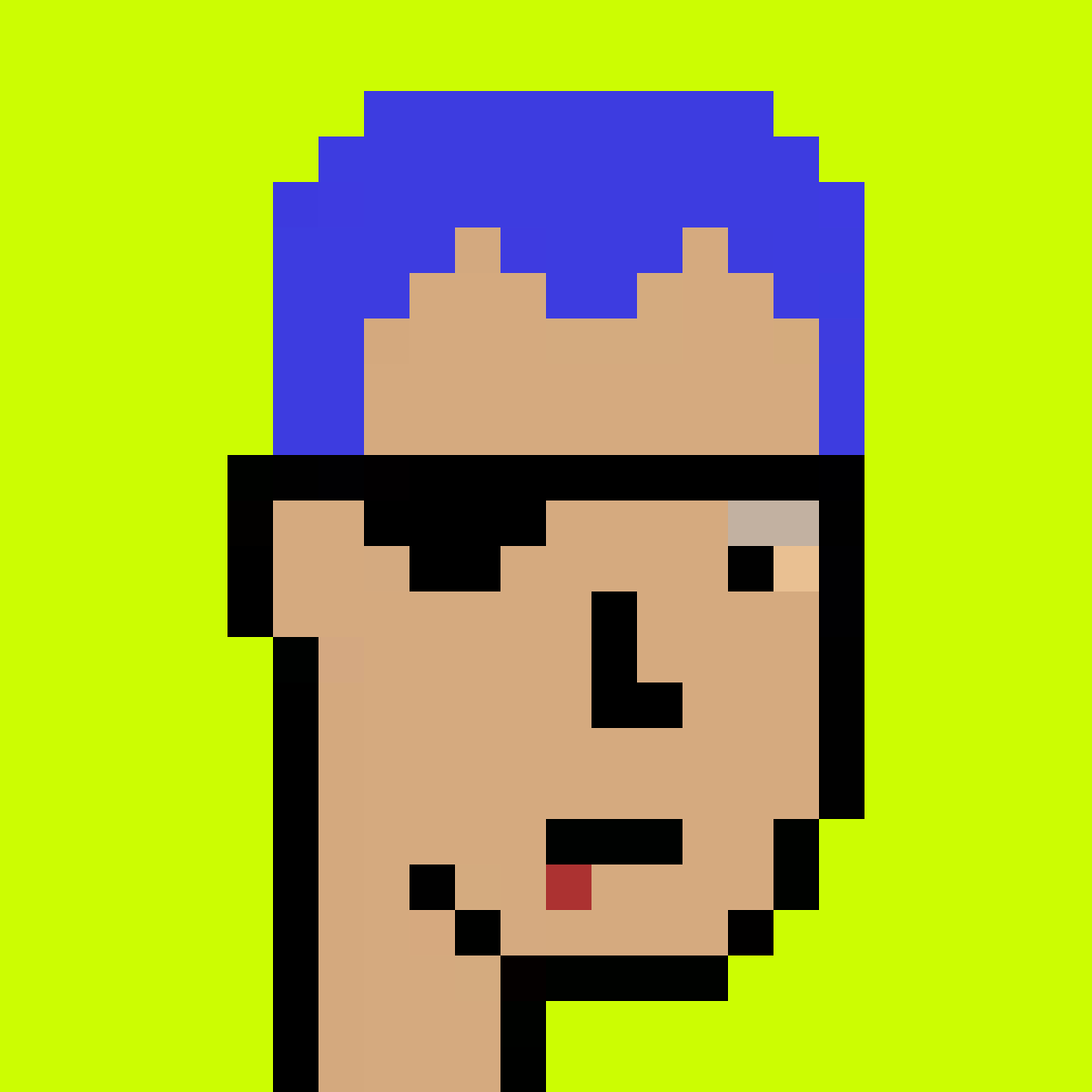 Stonk Punks #788