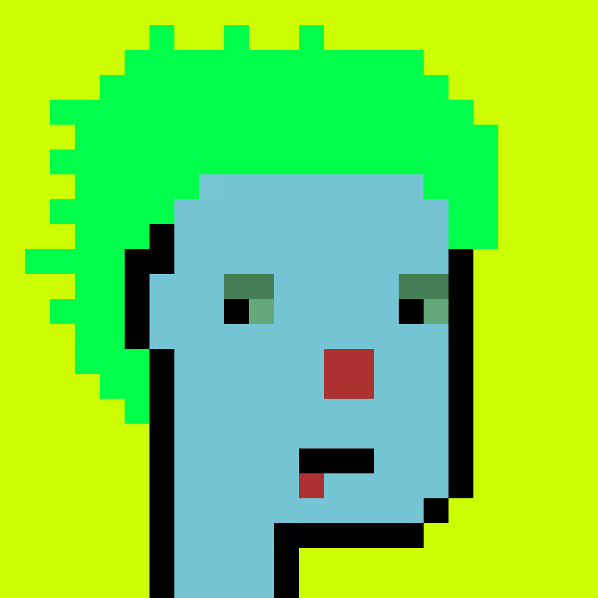 Stonk Punks #808