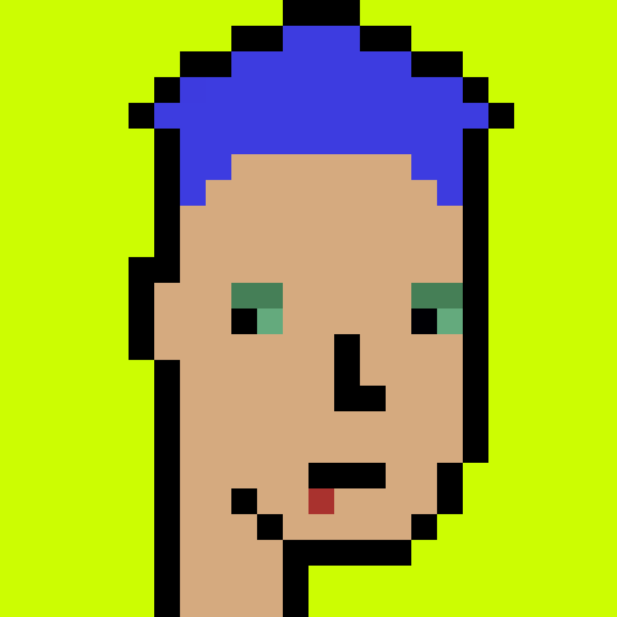 Stonk Punks #848