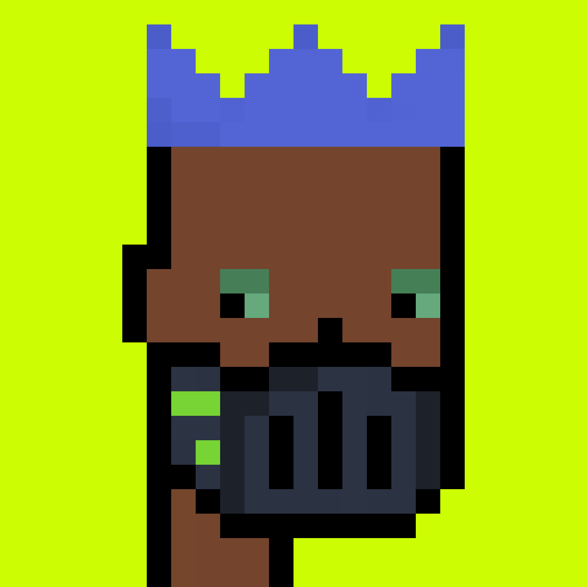 Stonk Punks #896