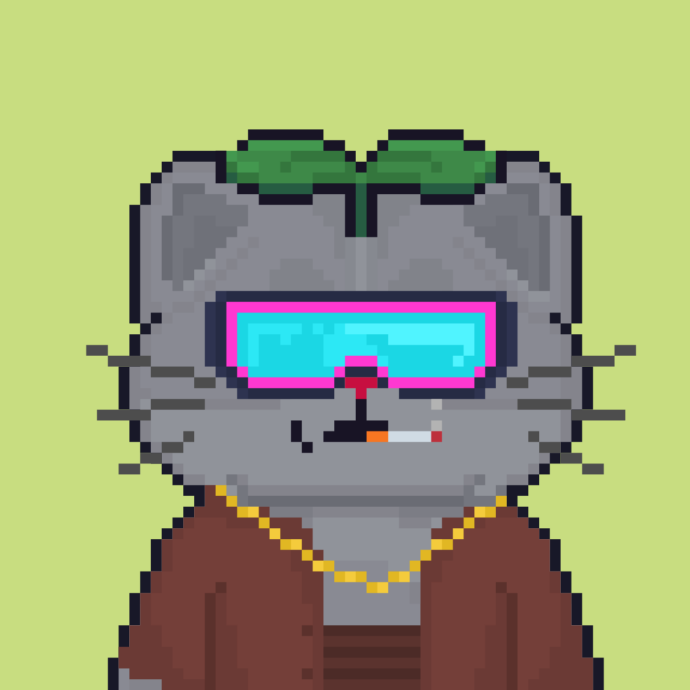 Cattain #1072