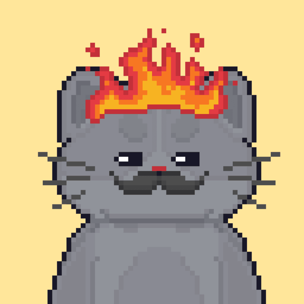 Cattain #1073