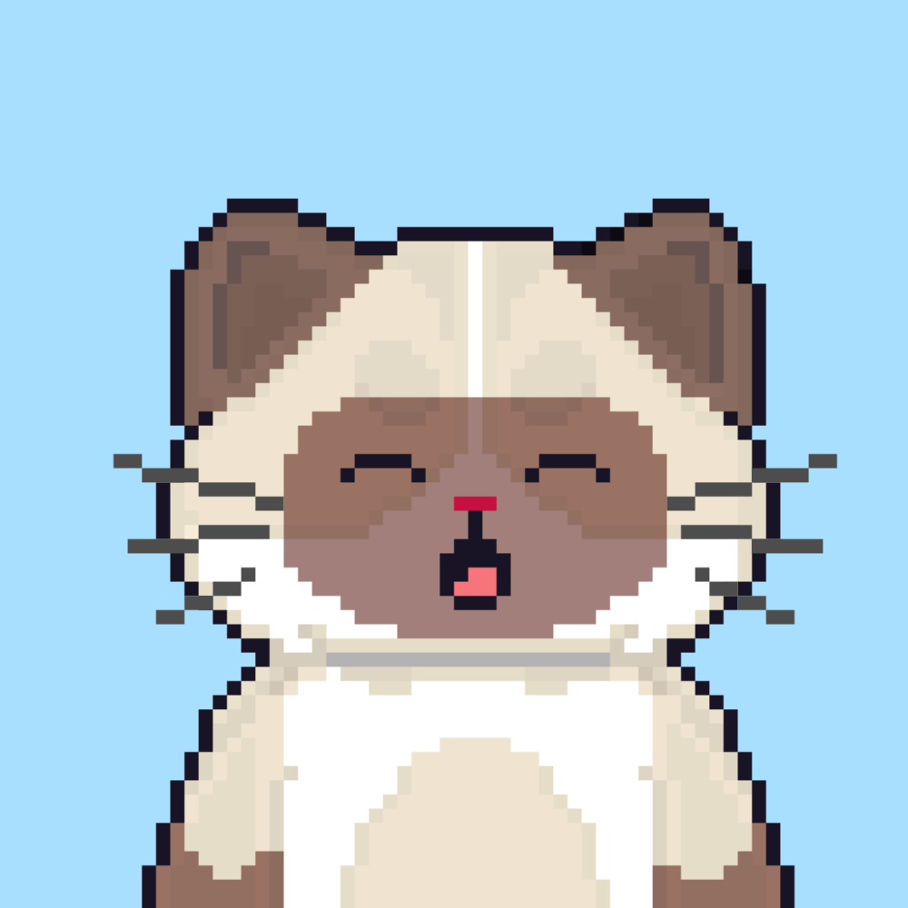 Cattain #362