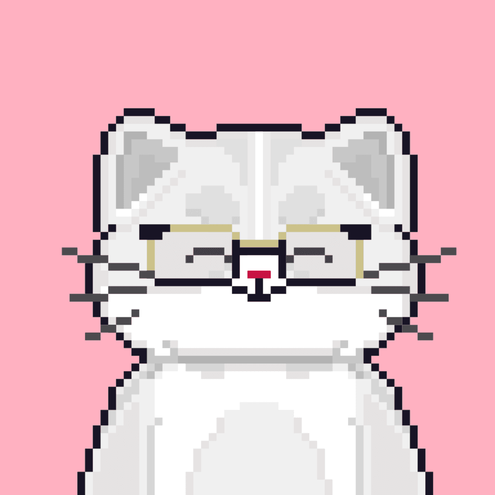 Cattain #508