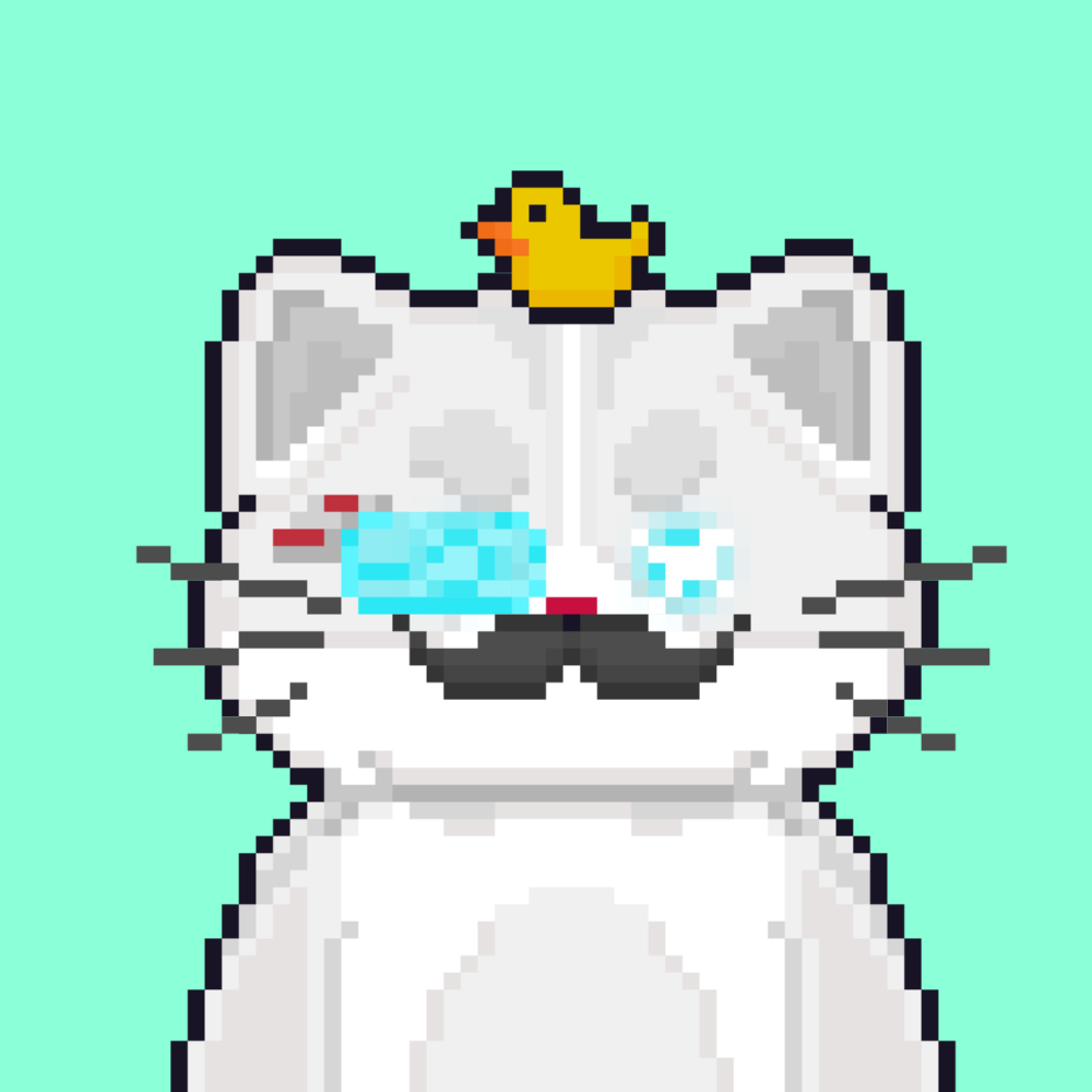 Cattain #823