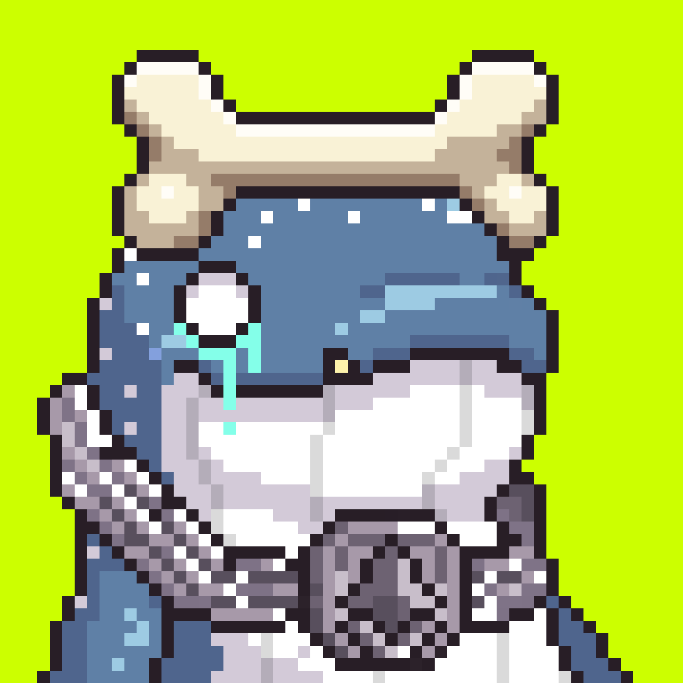 Hoodie Whale #6618