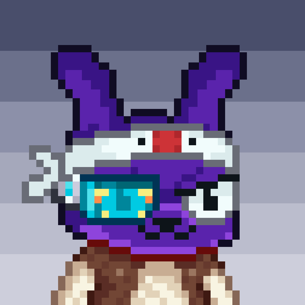 Bunny Brokers #1228