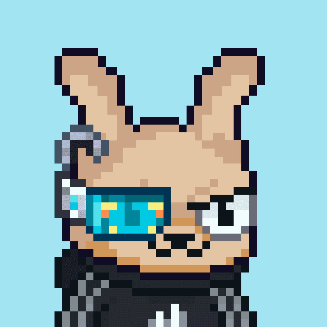 Bunny Brokers #1656