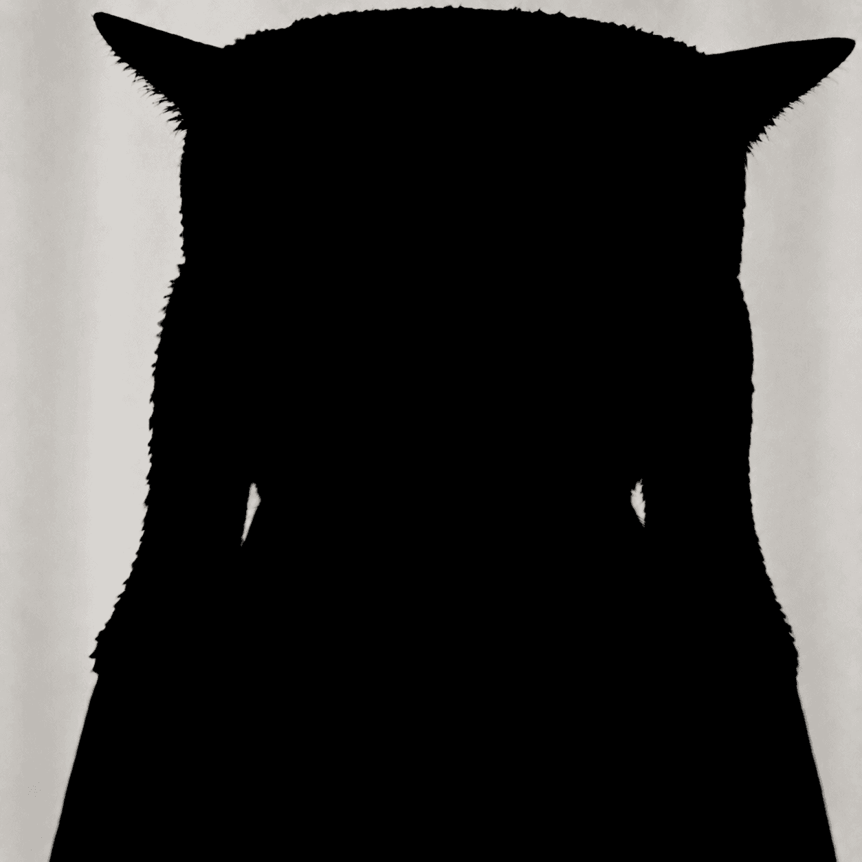 lao wu unrevealed