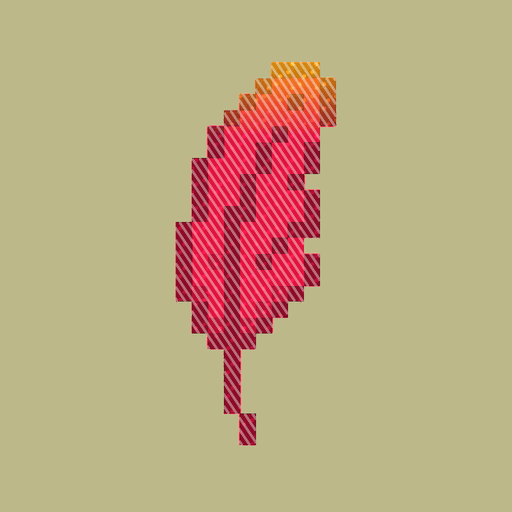 FEATHER #1137