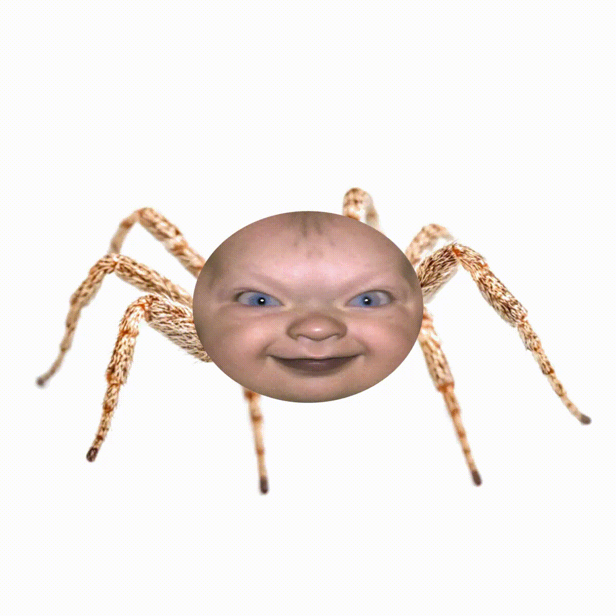 UGLY BABY CLUB