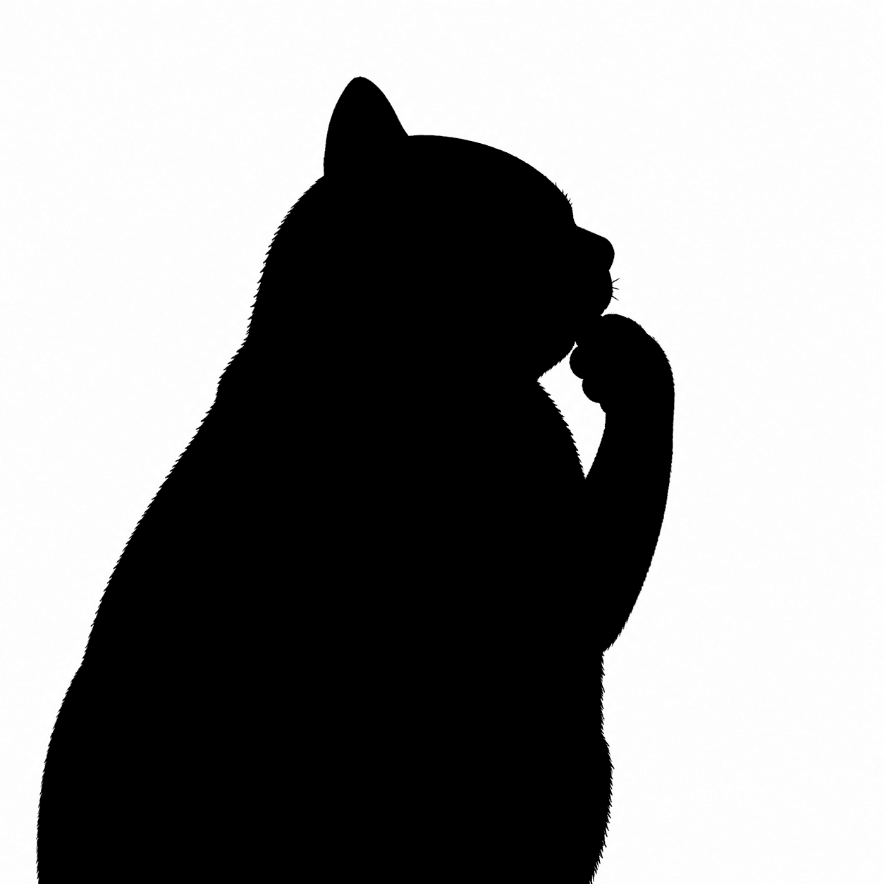 unrevealed fatcat