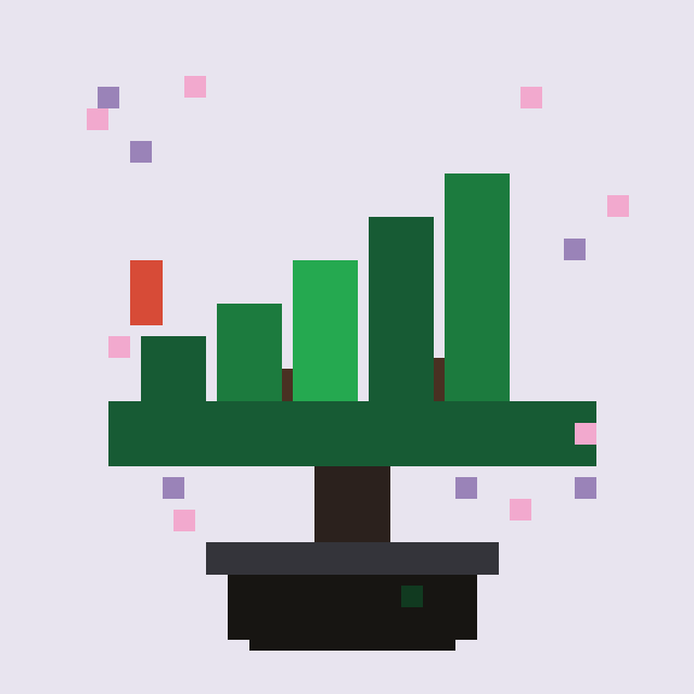 Candlewood Bonsai #2690
