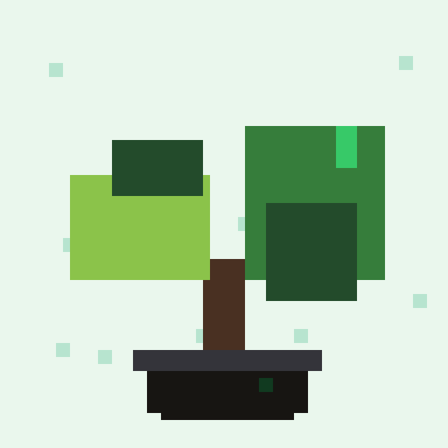 Candlewood Bonsai #2692