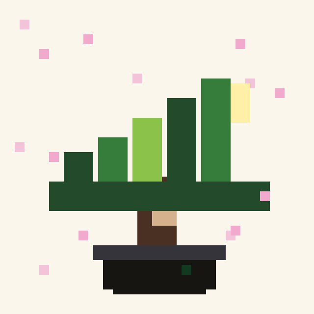 Candlewood Bonsai #3127