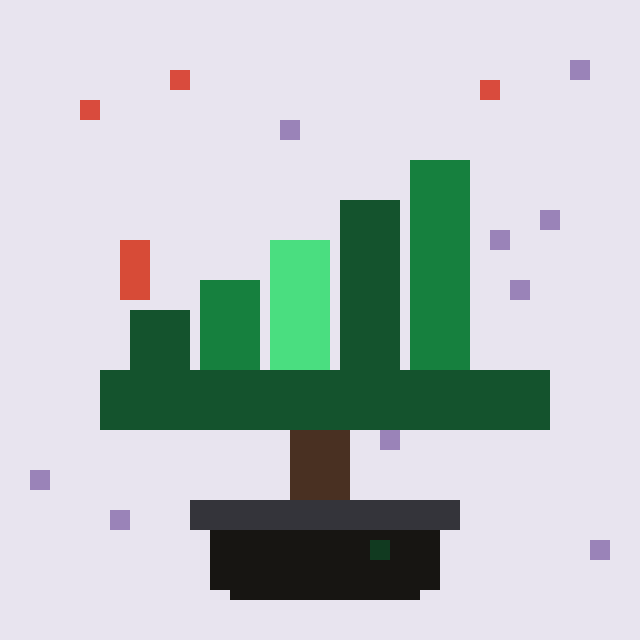 Candlewood Bonsai #3788