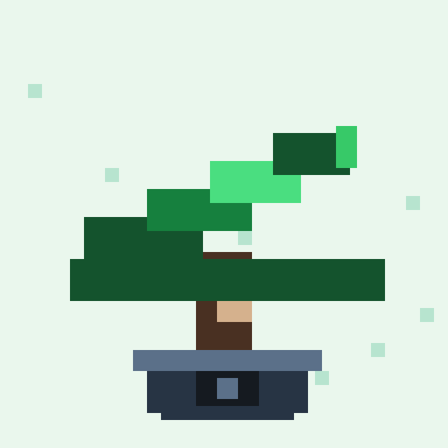 Candlewood Bonsai #3979