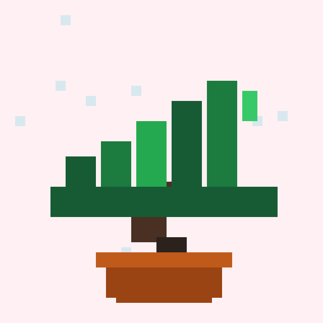 Candlewood Bonsai #5565