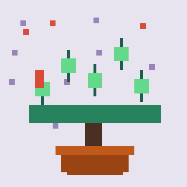Candlewood Bonsai #7209