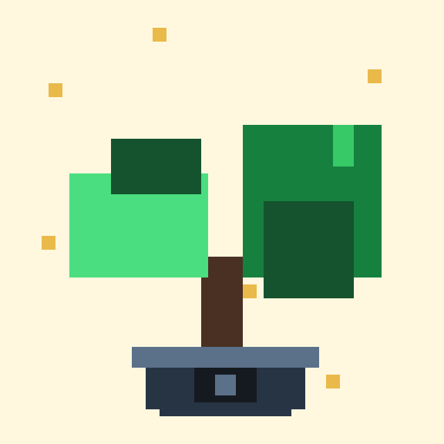 Candlewood Bonsai #7735