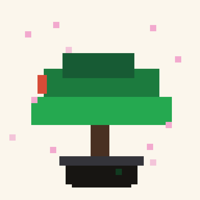 Candlewood Bonsai #7766