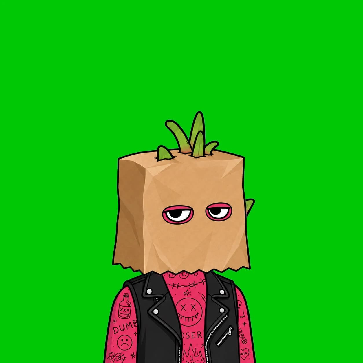 Robinhood Dragon Boy #4199