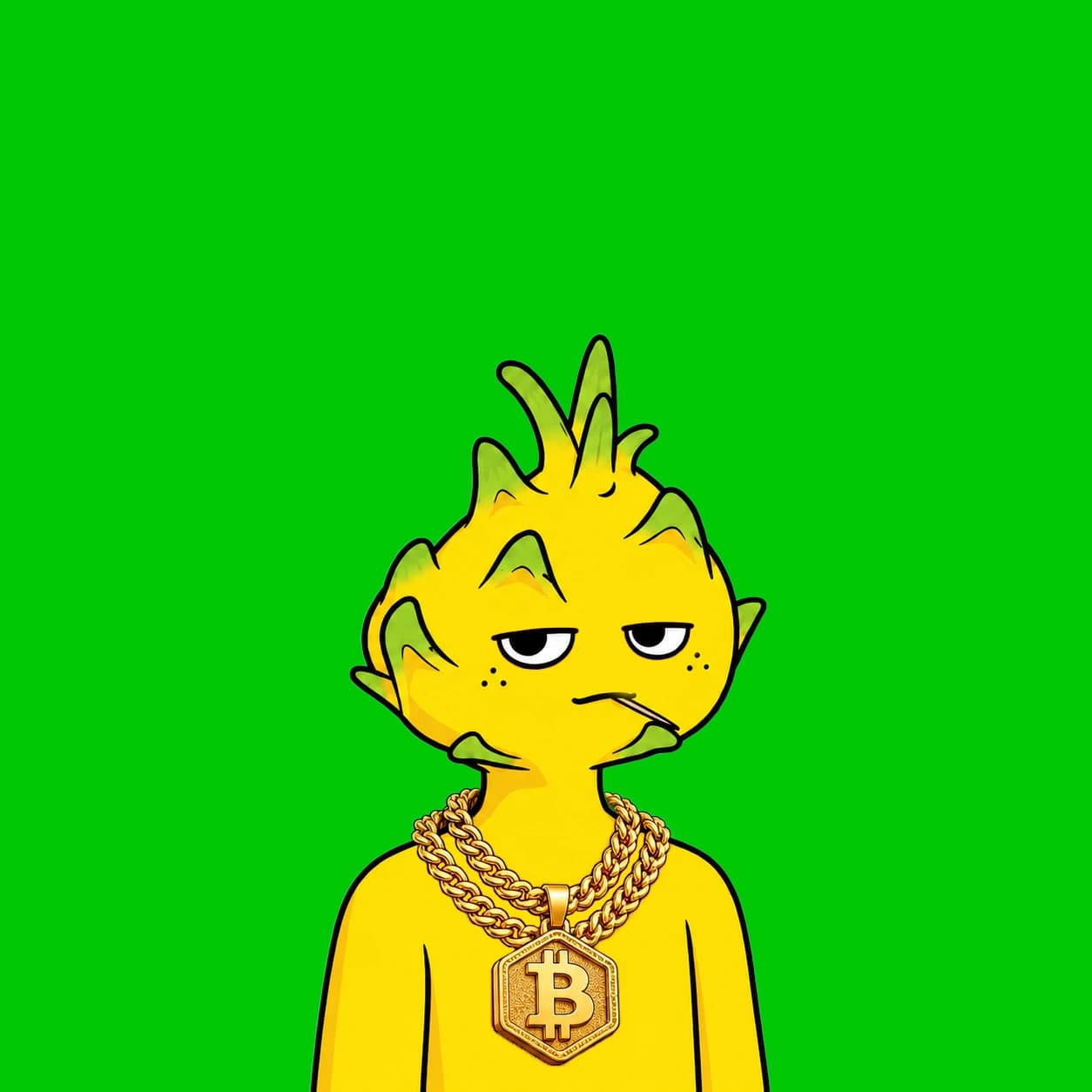 Robinhood Dragon Boy #9953