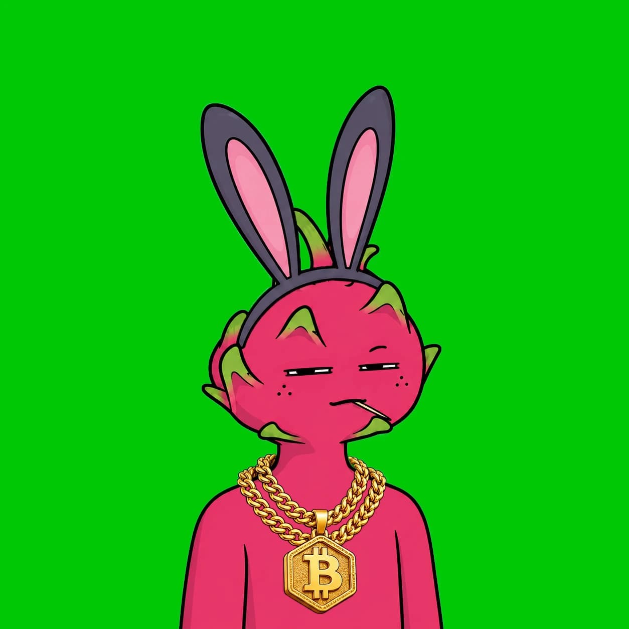 Robinhood Dragon Boy #9989