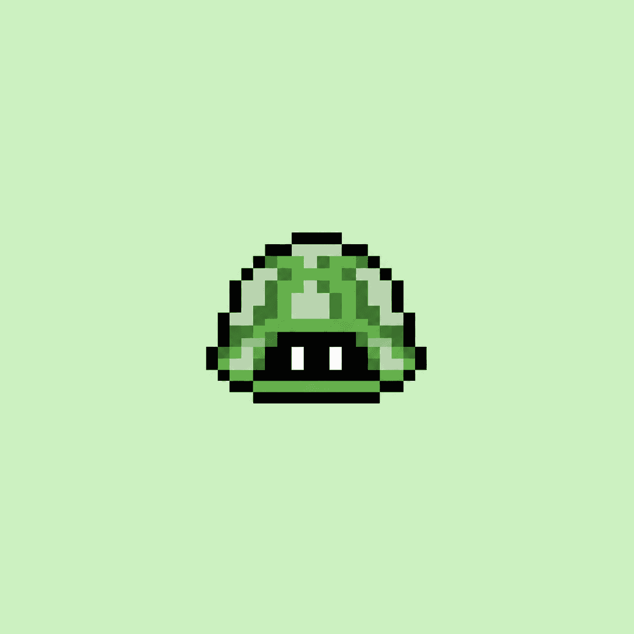 TURTLES