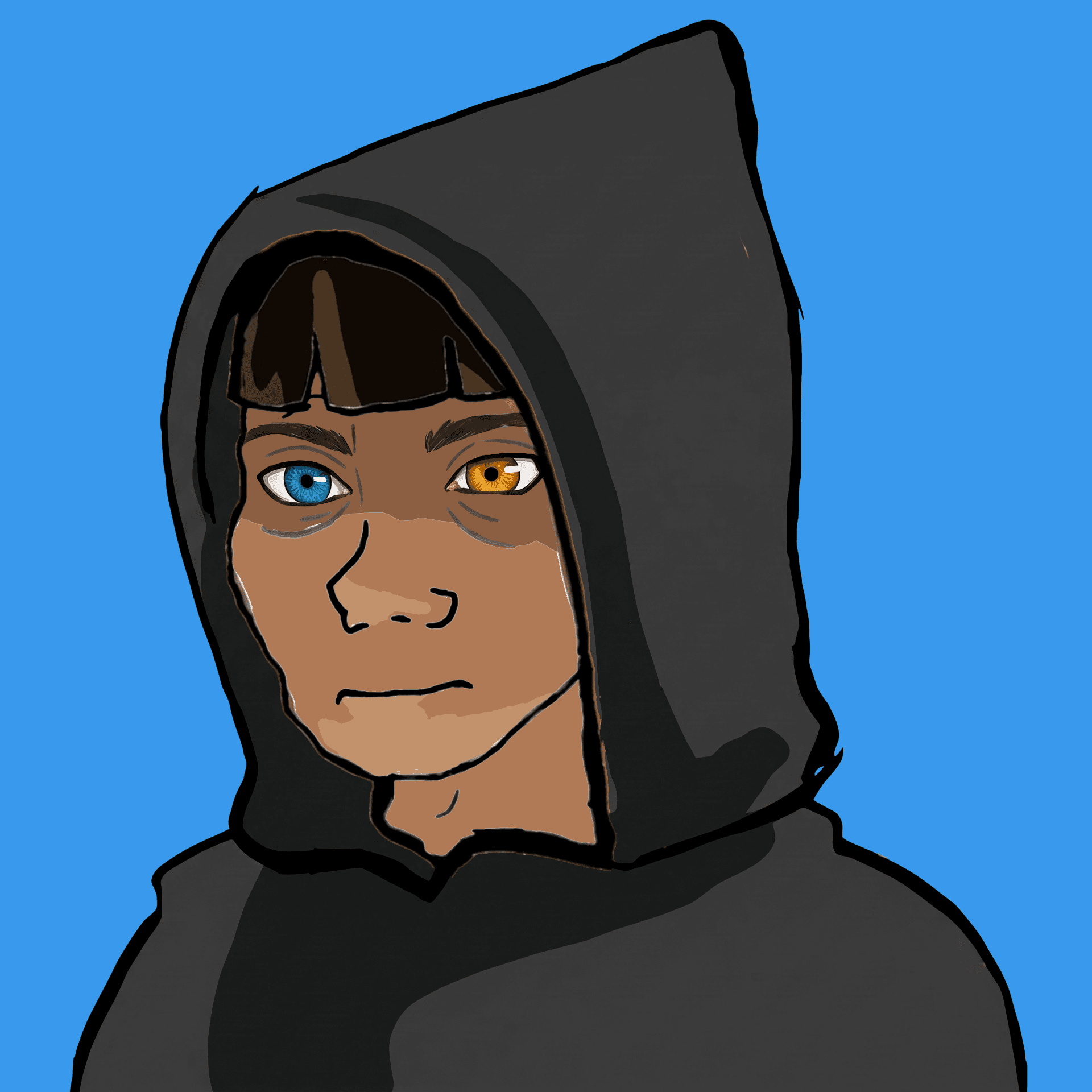 Hoodies #1060