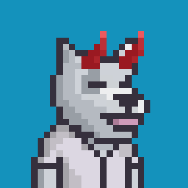 dogers #1341