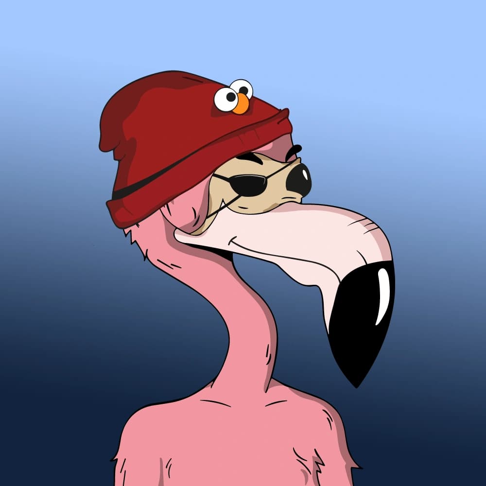 Ro Flamingos #1629