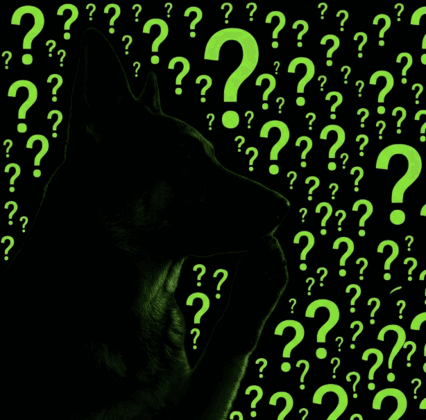 Thinking Dog