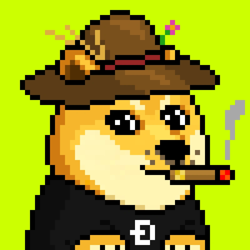 Robinhood Doge #2017