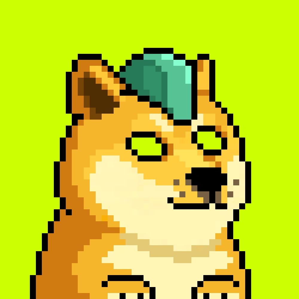 Robinhood Doge #2019