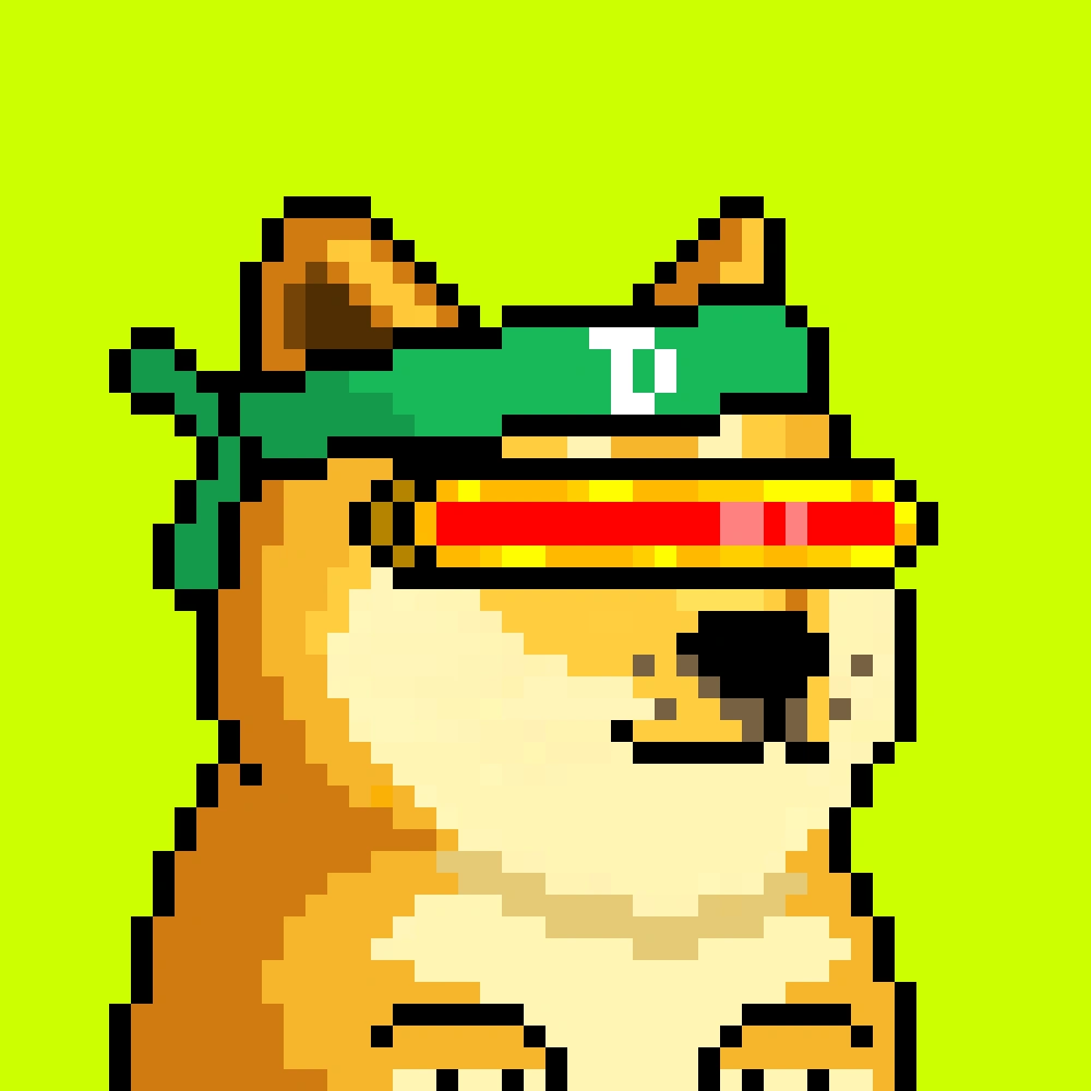 Robinhood Doge #2248