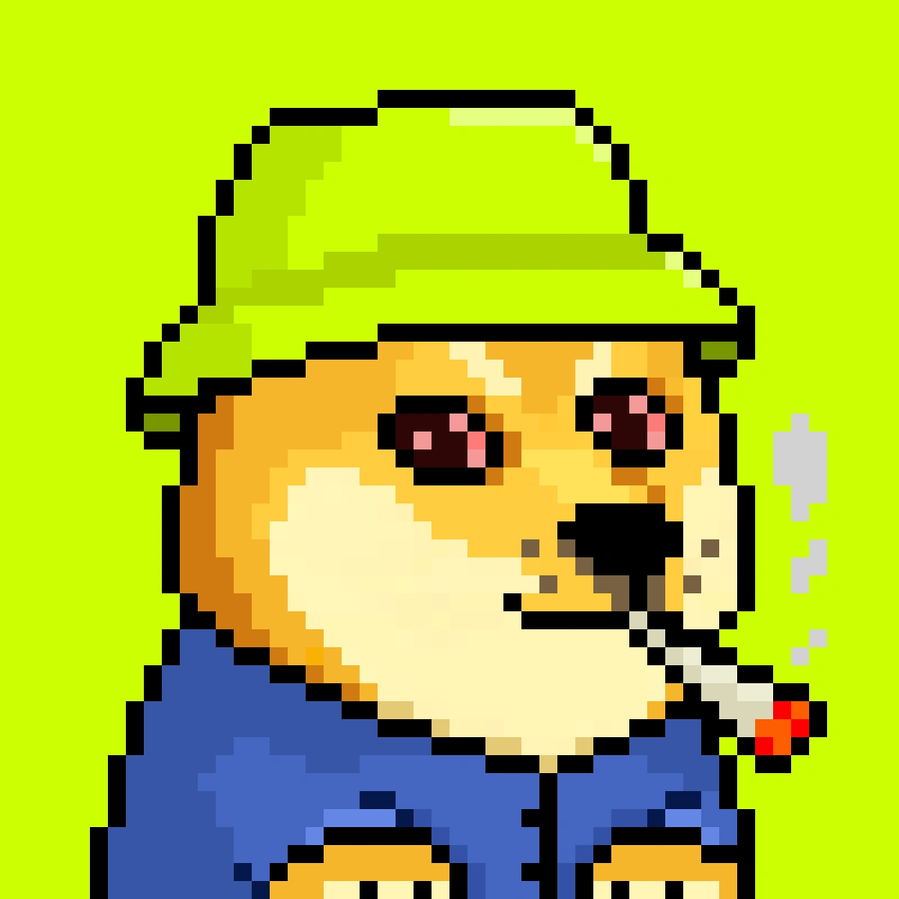 Robinhood Doge #2449