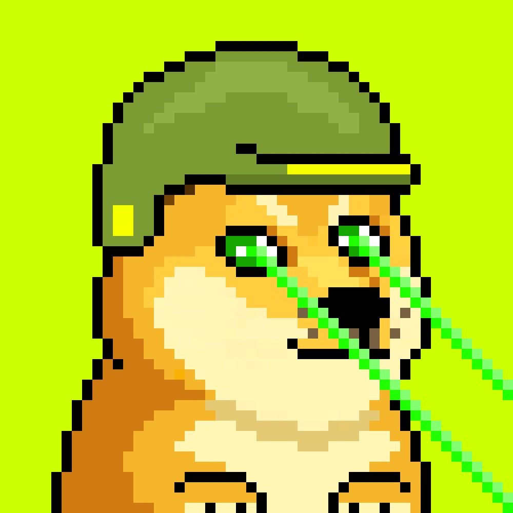 Robinhood Doge #2451
