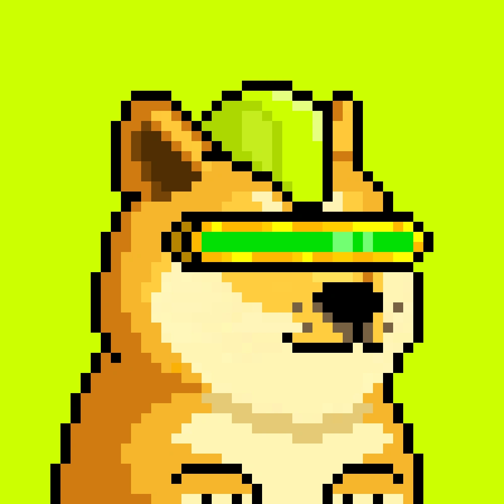 Robinhood Doge #2453