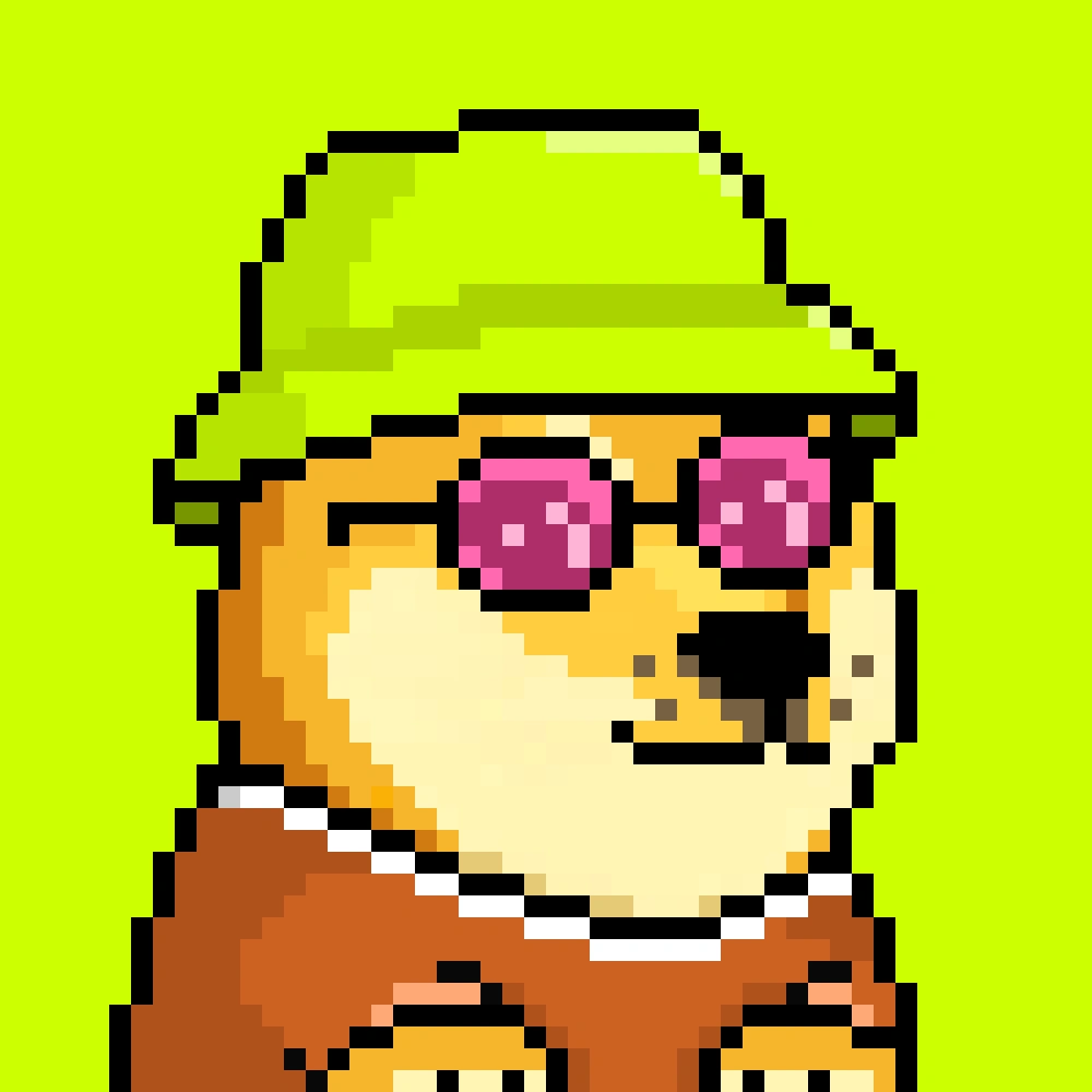 Robinhood Doge #2454