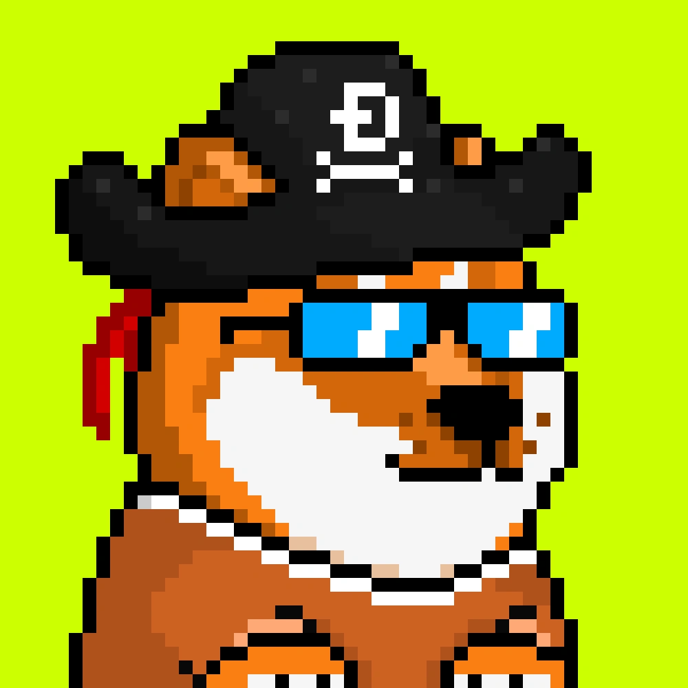 Robinhood Doge #2455