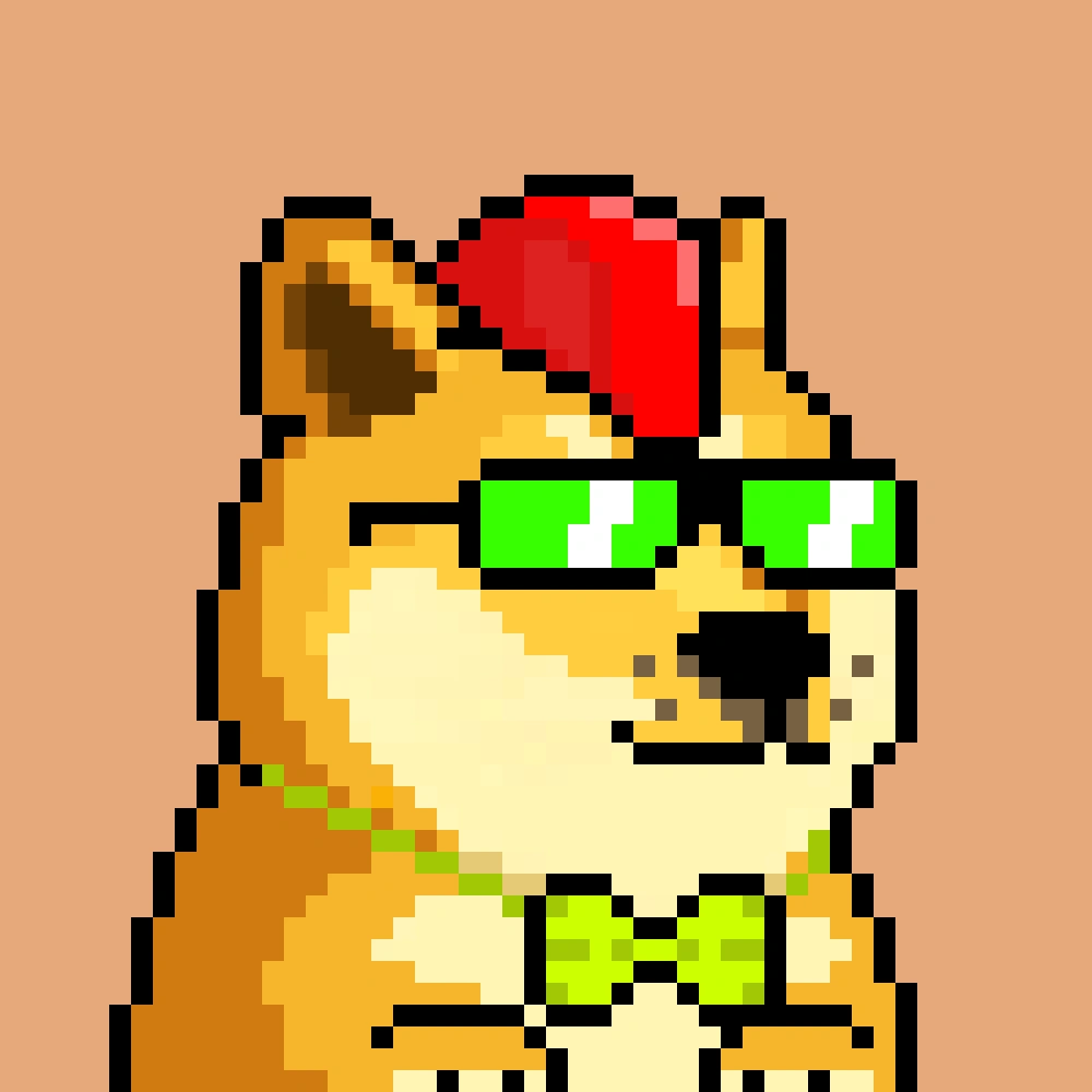 Robinhood Doge #2456