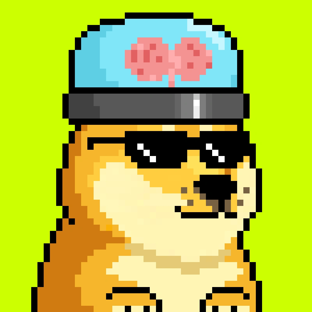 Robinhood Doge #2457